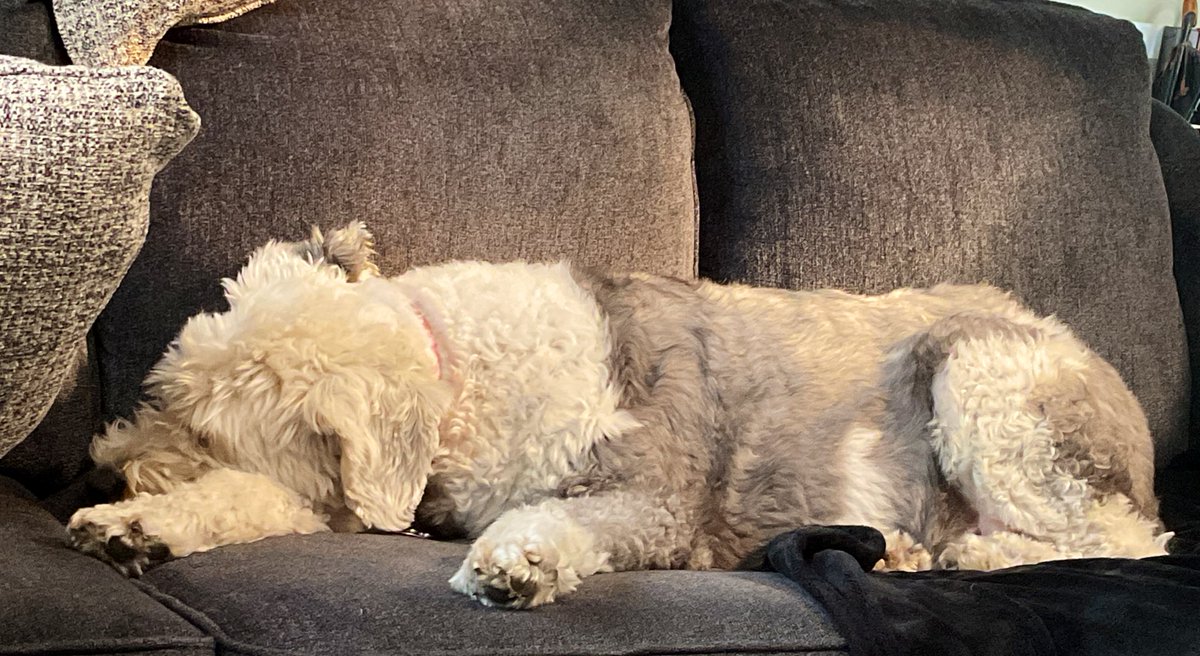 PhiladelphiAnne's tweet image. I don’t do Mondays….or any other day that ends in the letter Y
