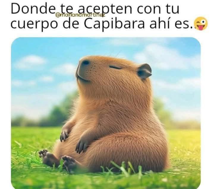 El amor es una magia... 😅😂😂😂