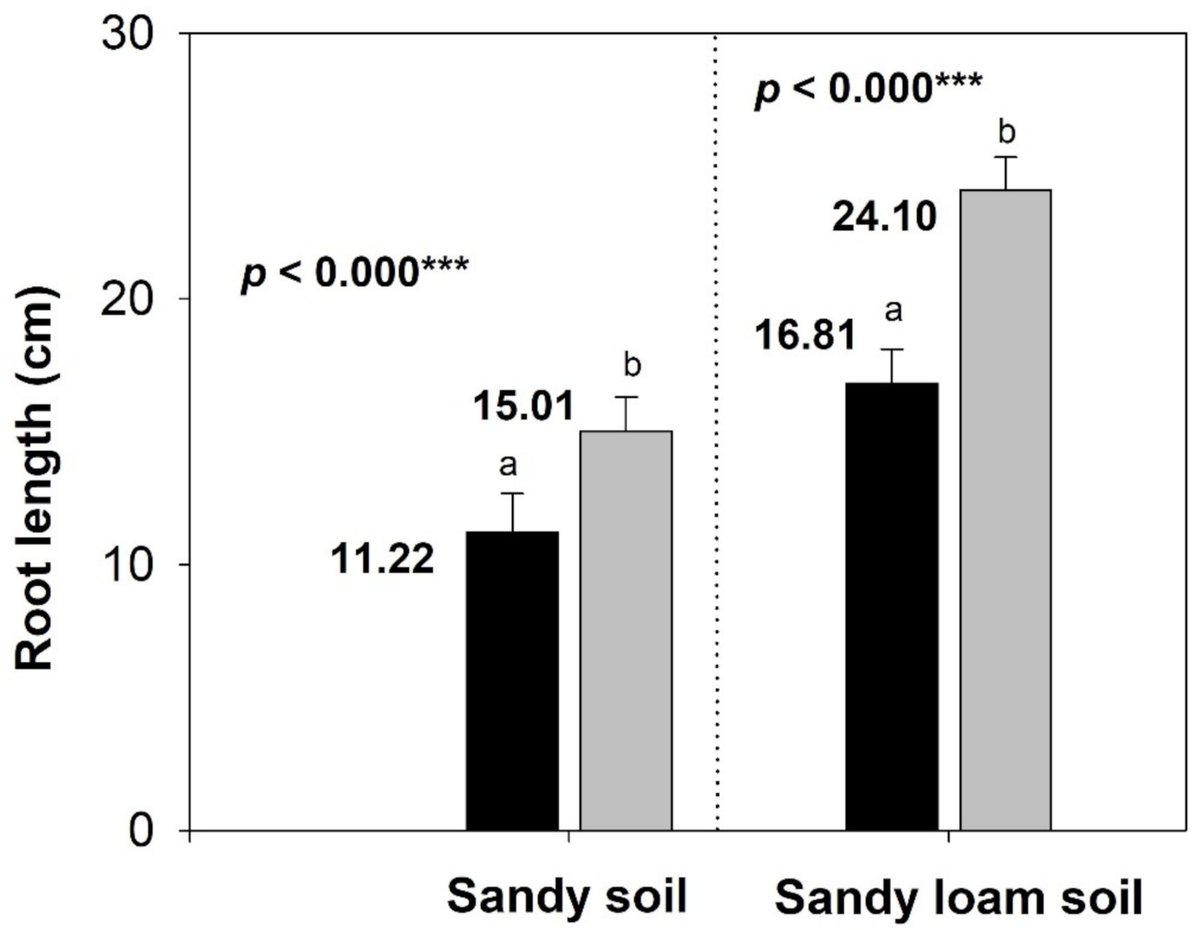On #InternationalSoilConservationDay I share our study #Agronomy <a href="/MDPIOpenAccess/">MDPI</a>
We showed that a rhizogenic biostimulant boosted microbial and enzymatic activity, improved soil fertility, and increased root length by 34–43 %
🔗 doi.org/10.3390/agrono…
#SoilHealth #Biostimulants