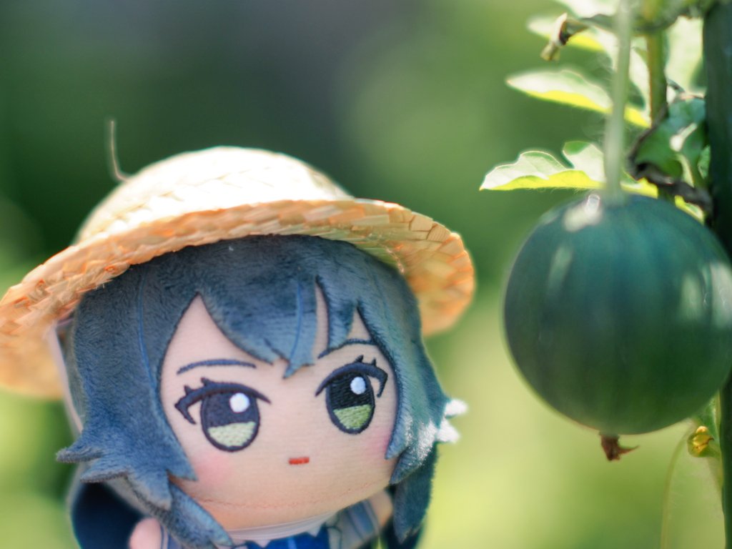 #初星学園ぬいぬい部