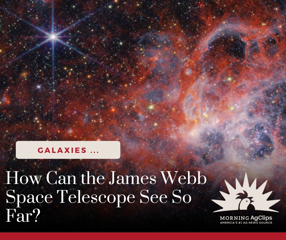 When Webb takes a picture of a distant galaxy, astronomers are actually seeing what that galaxy looked like billions of years ago. It’s like having a time machine that takes snapshots of the early universe. 

Read more: hubs.la/Q03vQ56t0 

#breakingnews #space #funfacts