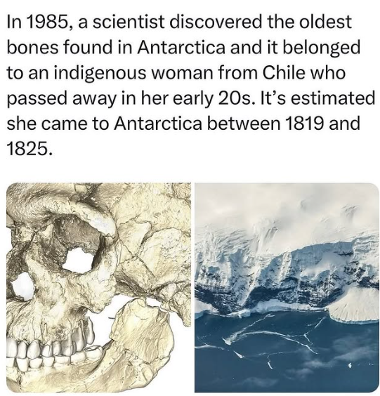 In 1985, a significant archaeological discovery was made on Yamana Beach at Cape Shirreff in Antarctica’s South Shetland Islands: a skull and femur belonging to an indigenous woman from southern Chile.