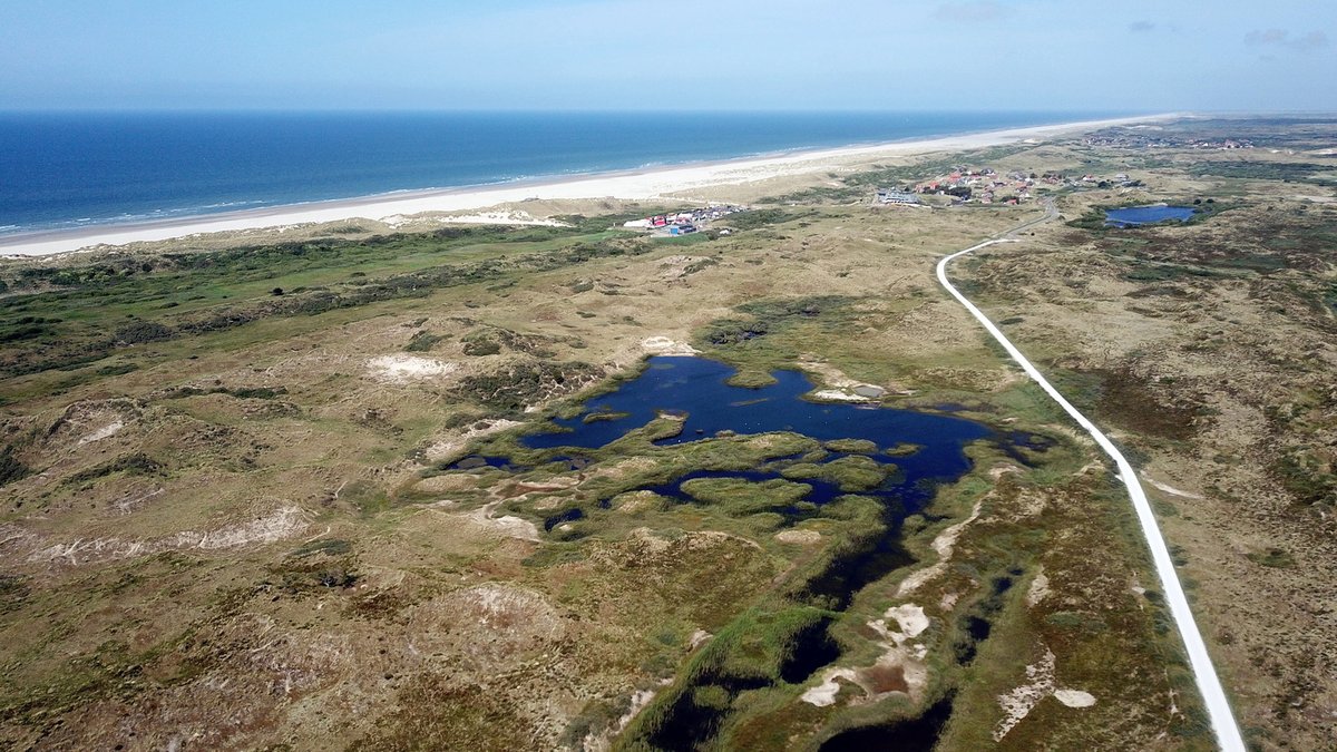 De natuur op Terschelling is echt uniek. 🌿🌾 Van bossen tot duinen, van kwelders tot strand, nergens anders in Nederland vind je zó veel variatie.

De natuur hier verrast, verwondert en verfrist. Waar op Terschelling kom jij het liefst buiten?

📷 <a href="/GBVolgers/">Gerrit Bart Volgers</a>