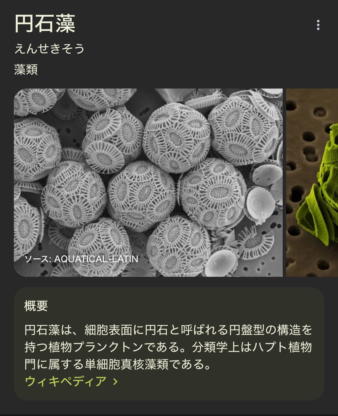 布ぞうり☆       いとまろ    ♪ 🎾まっくす🎾 on X: 