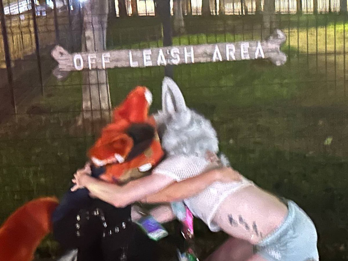 D1SC00RD's tweet image. Don’t let two foxes off leash, it doesn’t end well….