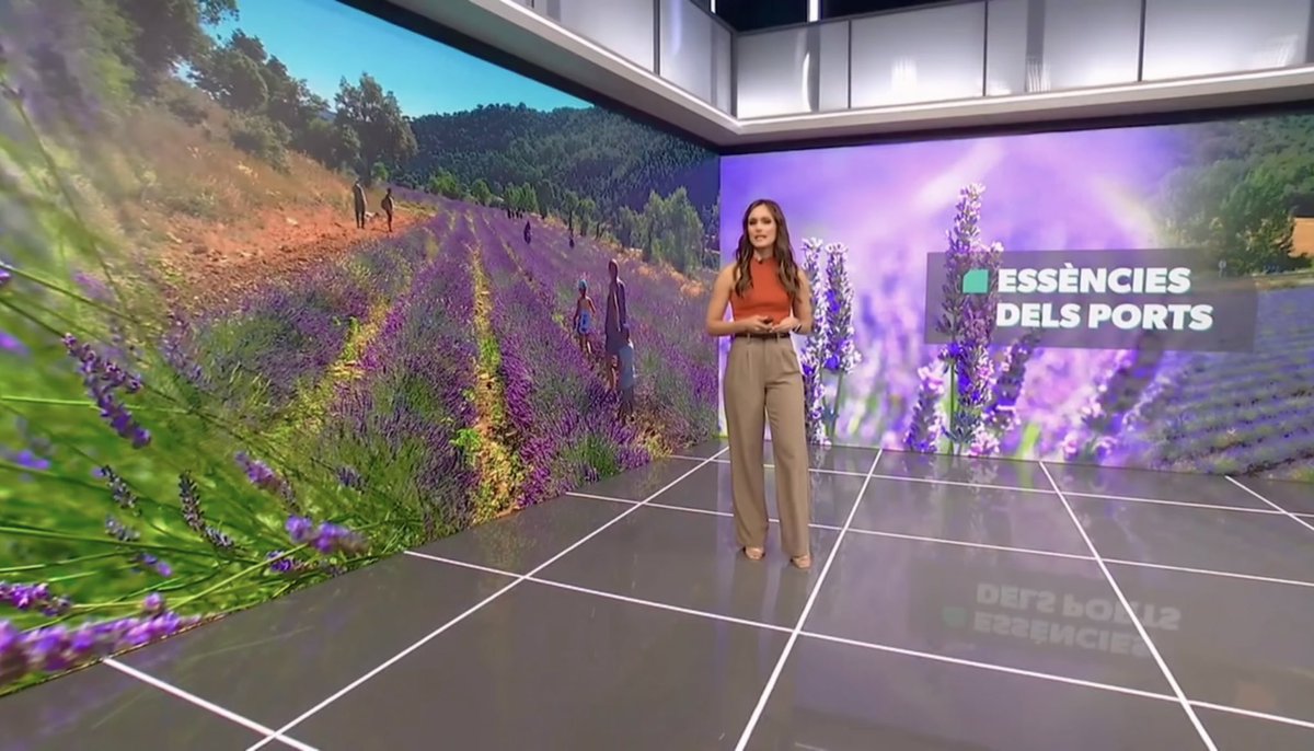 codeposa's tweet image. Este cap de setmana un equip de Comunicacions dels Ports ha visitat els camps d’espígol de Cinctorres per a fer aquest reportatge d’À Punt NTC
🎥🎤
#ElsPorts #Castelló #ComunitatValenciana 
▸ apuntmedia.es/informatius/a-…