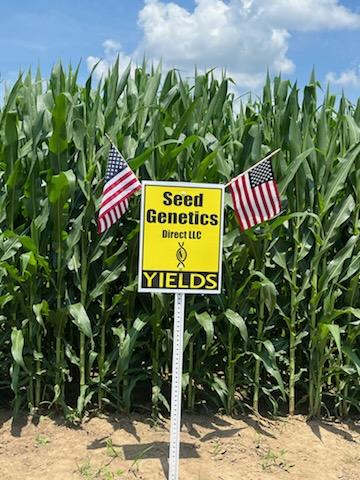 seedgenetics's tweet image. It appears that Edwin and Shannin enjoyed their holiday weekend! Thank you for including us, you two!