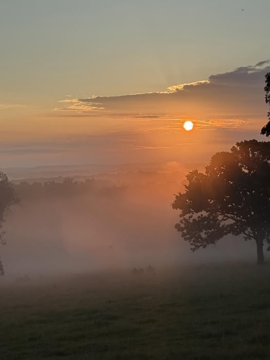 Ed Fagre captured this photo of the fog settling into the valleys this morning at sunrise in Maries county. #sunrise #fog  #natwxdesk