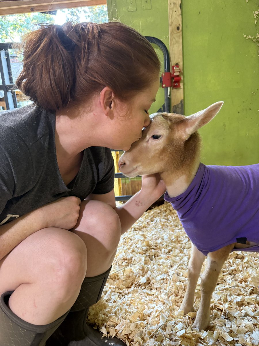 Today is a great day!!! Huckleberry had his tube removed and is released from quarantine to rejoin his family.  After the roller-coaster his situation has been, we’ve really needed some consistent good news!  

For the rest of his life, he will need consistent monitoring of both