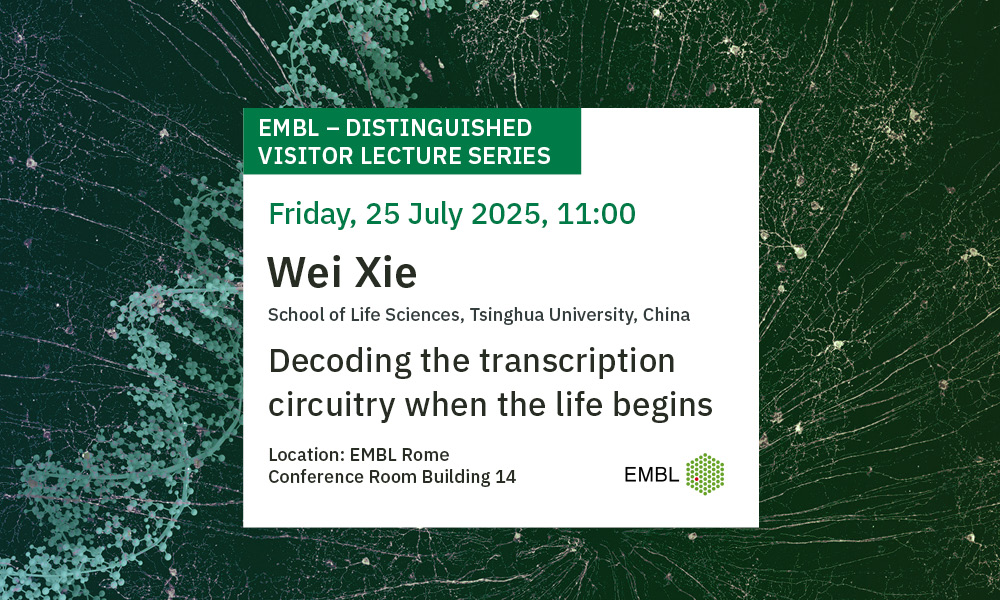 EMBLRome's tweet image. 📢 We are excited to announce our next Distinguished Visitor Lecture:
🗣️ Wei Xie, Professor at Tsinghua University, Beijing, China
🗓️ 25 July 2025
📍 EMBL Rome
‼️ Registration for in-person participation: lnkd.in/dJvF7TdU