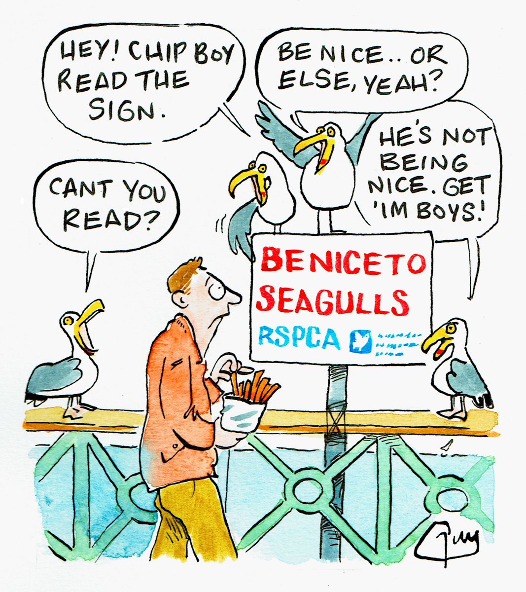 My cartoon in Tuesday's @metro about the new signs being put up asking people to be nice to seagulls. #seagulls #rspca