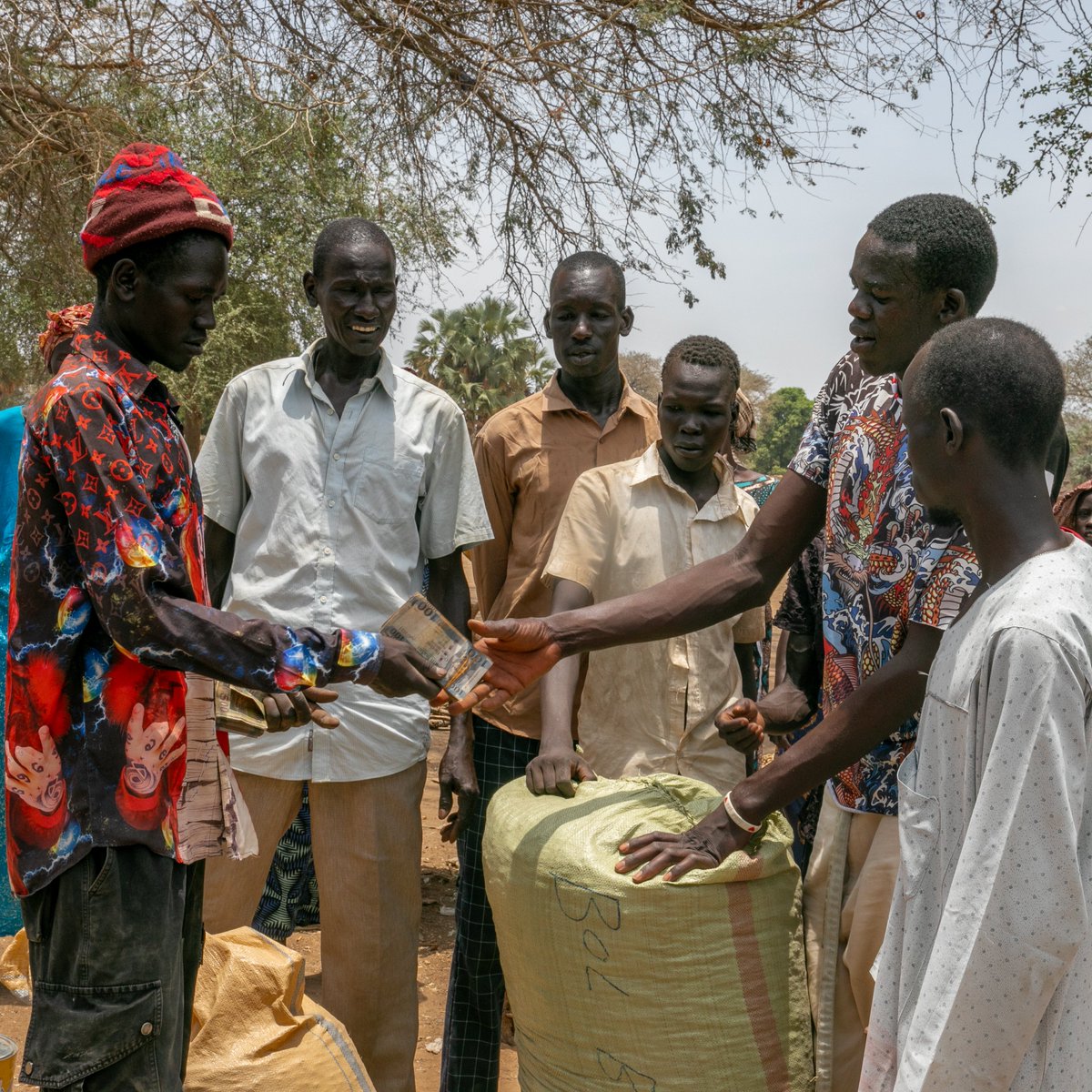WFP_SouthSudan's tweet image. Through the Smallholder Agricultural Market Support programme, @WFP links smallholder farmers to markets across #SouthSudan
The program helps farmers, especially women & youth, diversify crops, reduce losses & boost incomes.