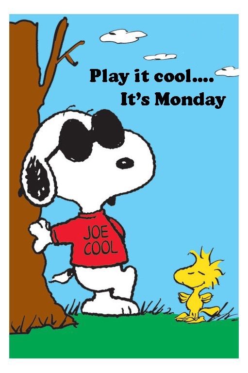 snoopyandfrien6's tweet photo. Play it cool….
   It’s Monday https://t.co/iZtA9FeIoH