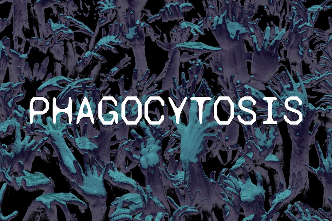PHAGOCYTOSIS is my submission to the Sci-Fi one-shot jam '25. Kill a factory from within before it kills you. Available on my itch page