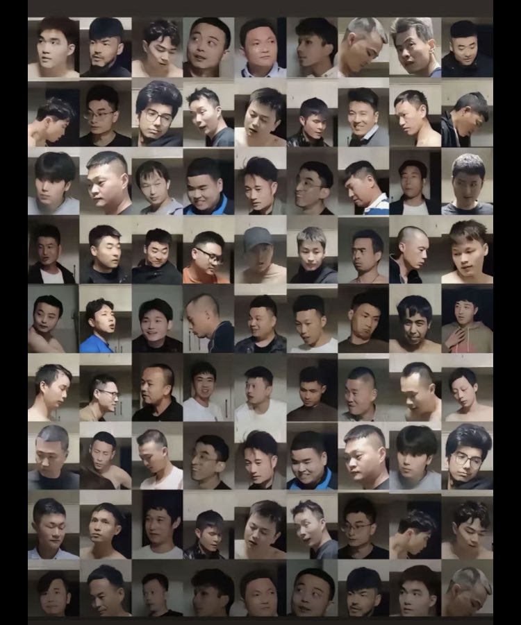 骟骟有福8964 tweet media