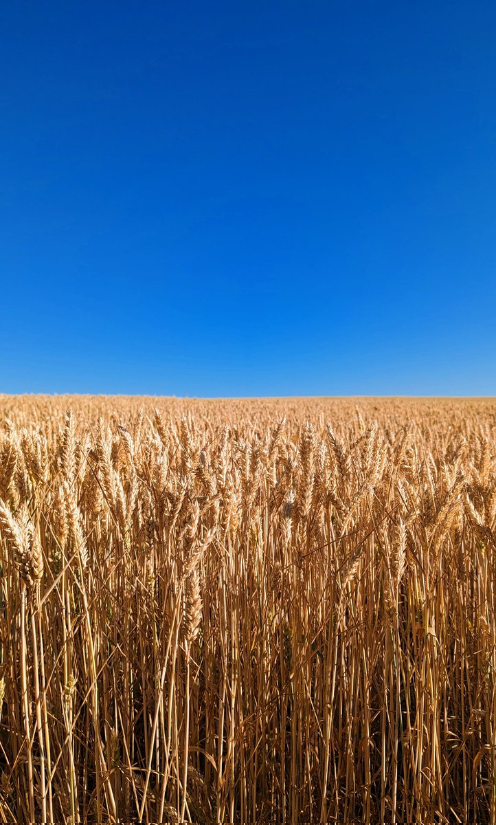 Es sind einfach die schönsten Farben.