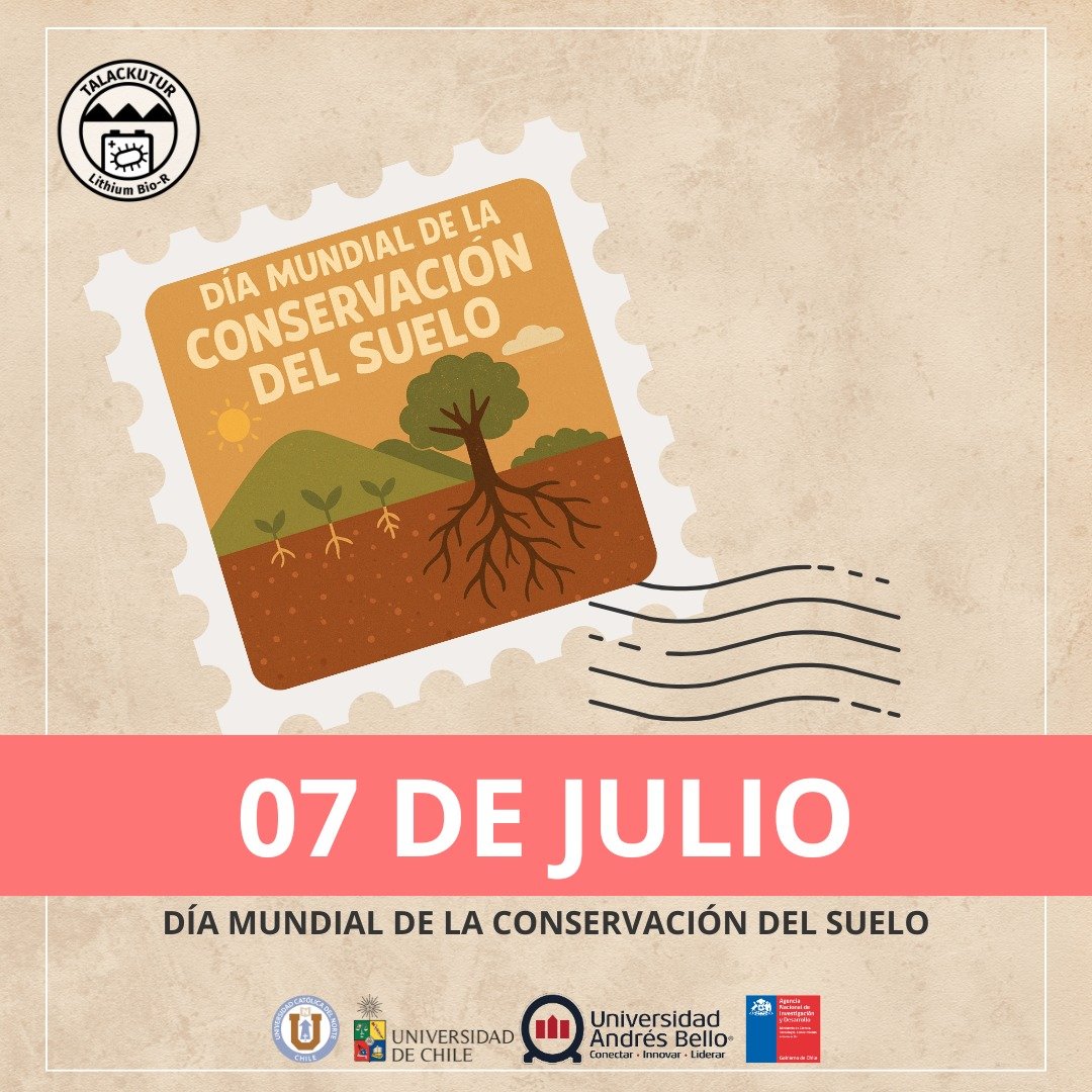 Lithium_rucn's tweet image. 7 de julio | Día Mundial de la Conservación del Suelo. El suelo es un sistema dinámico clave para la estabilidad de los ecosistemas salinos altoandinos.