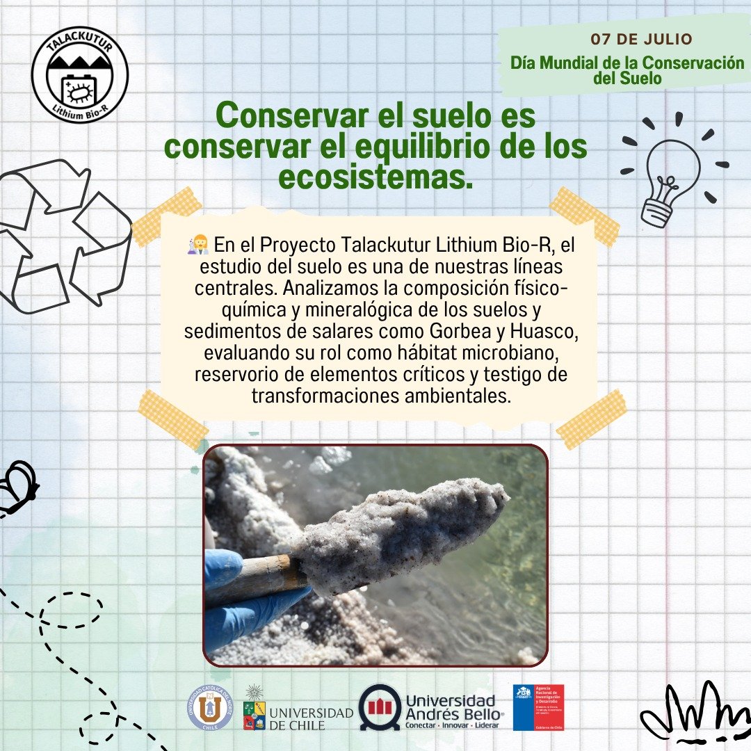 Lithium_rucn's tweet image. 7 de julio | Día Mundial de la Conservación del Suelo. El suelo es un sistema dinámico clave para la estabilidad de los ecosistemas salinos altoandinos.