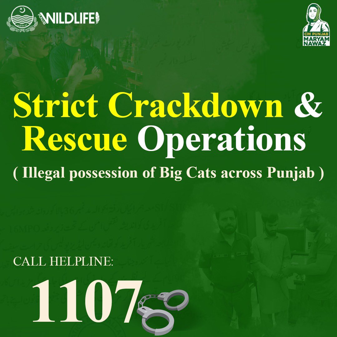 Punjabwildlife_'s tweet photo. On the directions of Chief minister Punjab, strict crackdown & combing operations are continued across Punjab! If you witness anyone keeping big cats illegally please call at 1107 immediately!
.
.
#combingoperations #operations #Bigcats #Govt #1107 #Punjab #govt https://t.co/CsrP7VTiwi
