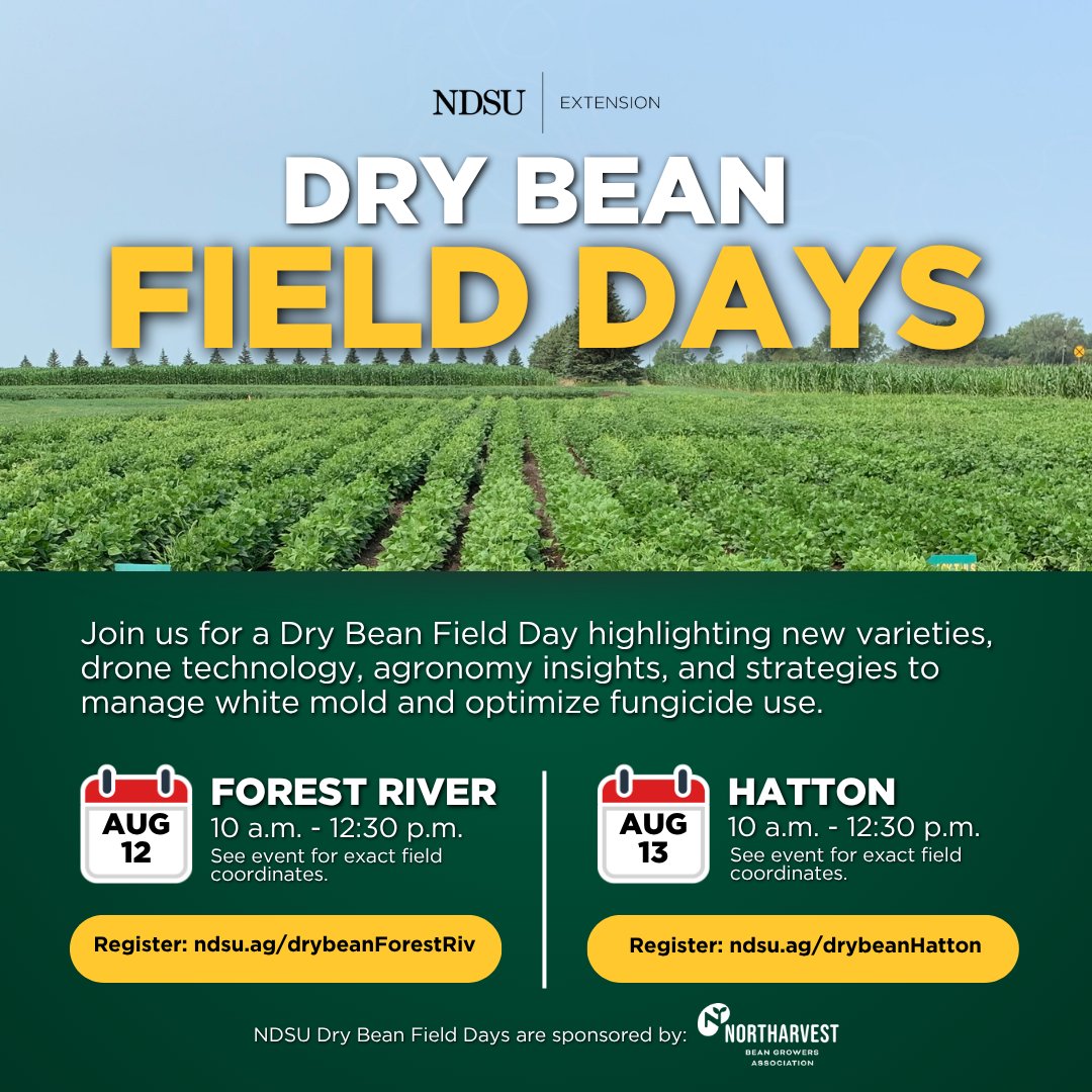 NDSUExtension's tweet image. We're partnering with @northarvestbean, to host two dry bean field days 🫘
📅Aug. 12 in Forest River
📅Aug. 13 in Hatton
The field days will offer an opportunity for growers, industry professionals and researchers to come together and explore the latest research in dry bean…