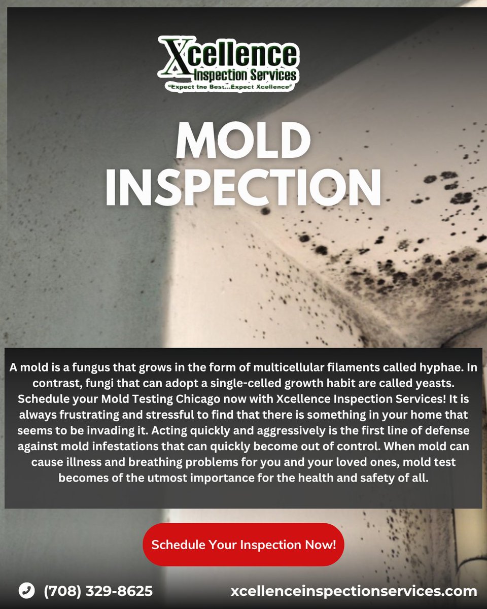 🦠 See Mold? Smell Something Off? 

Mold spreads fast—and so do the health risks. From allergies to respiratory issues, it can affect your entire household. At Xcellence Inspection Services, we provide thorough mold inspections to help keep your home clean, safe, and healthy.