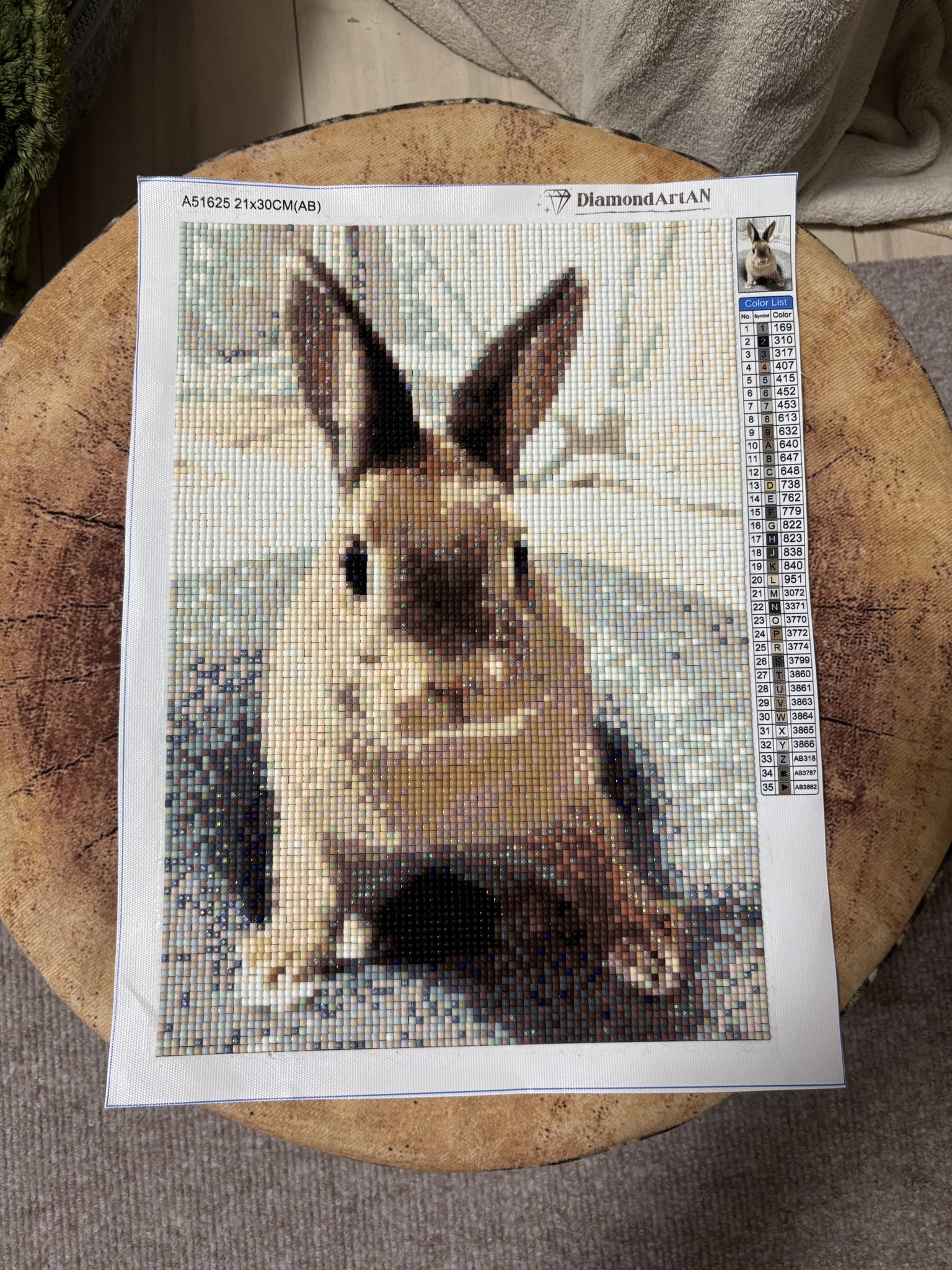 いたずらうさぎとその飼い主 on X: 