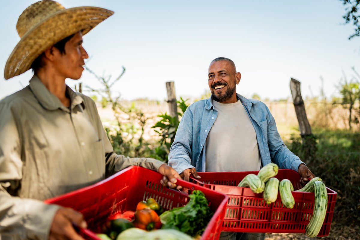 Starting January 1, 2026, employers applying for an #LMIA to hire temporary #ForeignWorkers in primary #agriculture under the TFW Program must once again submit proof of advertising, as required by the Government of Canada. djb.com/2025/07/lmia-a…
