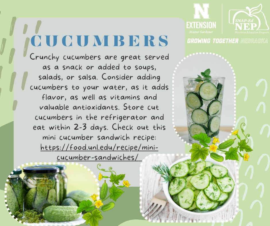 🥒 Cucumbers are crisp, refreshing, and perfect in snacks, salads, soups—even water! Boost flavor &amp; get antioxidants too. Store cut cukes in the fridge &amp; eat within 2–3 days.

Try this mini cucumber sandwich! 👉 go.unl.edu/7boy
More: food.unl.edu/seasonal-produ…
