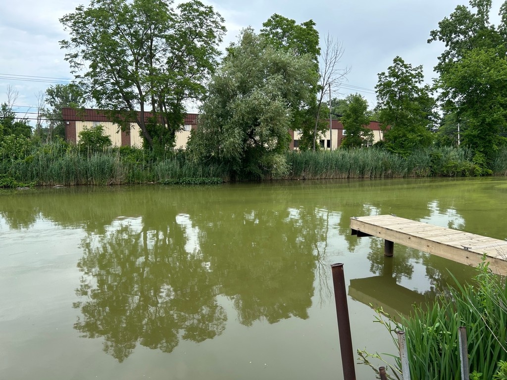 "These harmful algal blooms are happening earlier, they're getting bigger and they're lasting longer," said Robert Coady, with Buffalo Niagara Waterkeeper. 
The HAB at Ellicott Creek and our work reporting the findings were featured on Channel 7 last week.
wkbw.com/news/local-new…