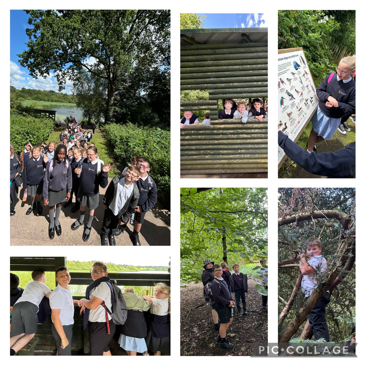 We had a wonderful time exploring the woods and seeing what we could spot across the lake. Xx 
<a href="/GrangeMissA/">GrangeMissA</a> 
<a href="/GrangeMrsMcG/">Mrs McGilloway</a> 
<a href="/GrangeMrsB/">Mrs Beatson</a>
