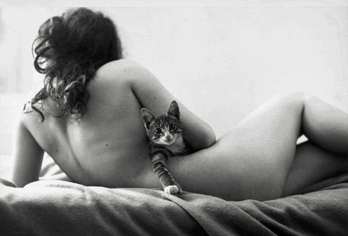 #cat #cats #girls #photography #blackandwhite 

Robert Frank