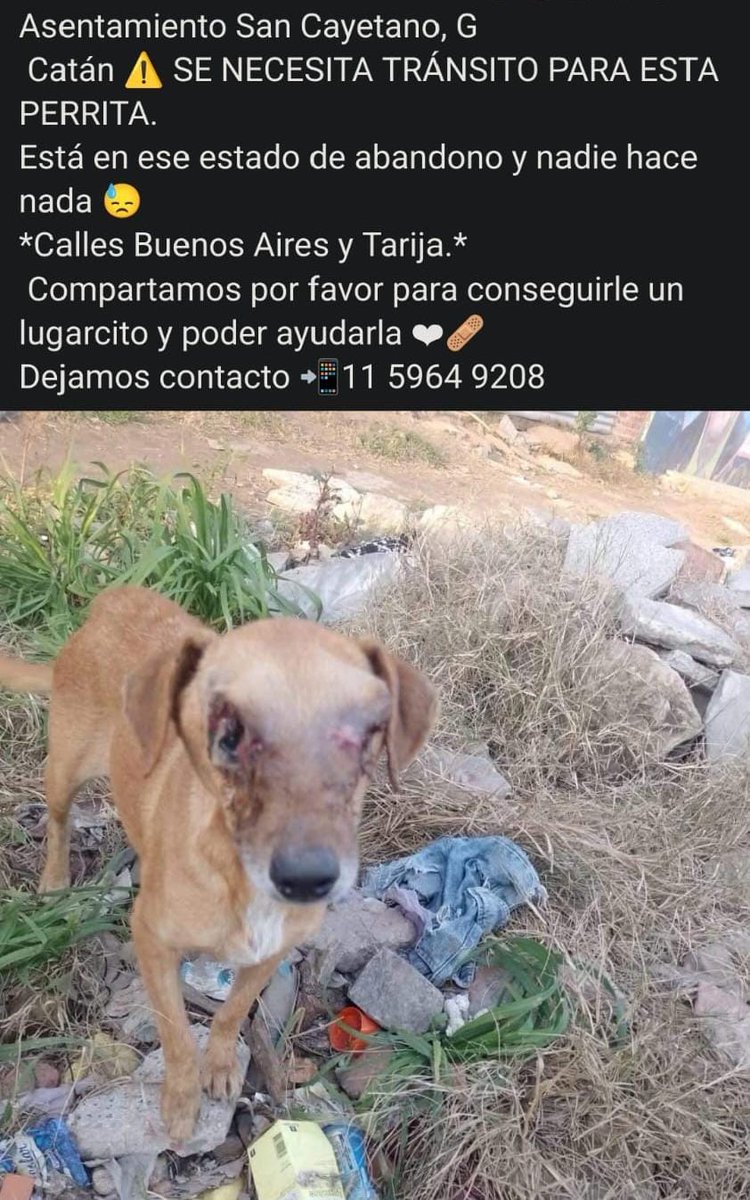 Rt
Ayuda urgente