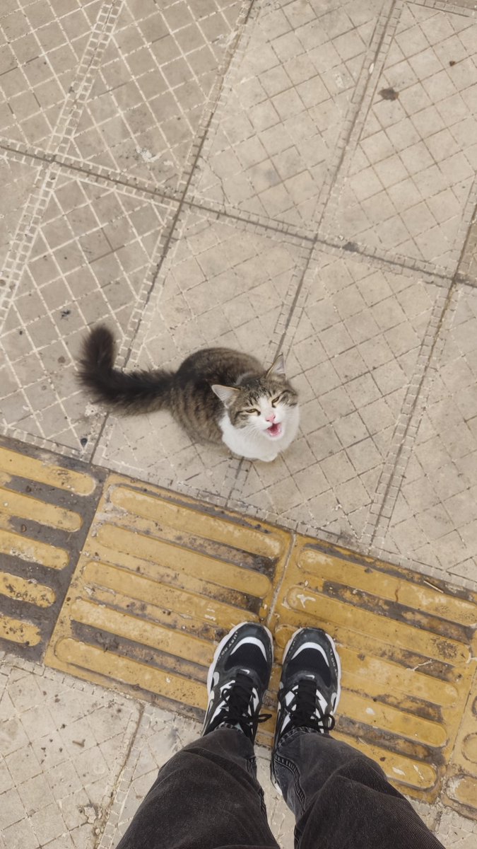 M8hammad_zafar's tweet image. شما در حال مشاهده بهترین دیت زندگی بنده هستید🥲