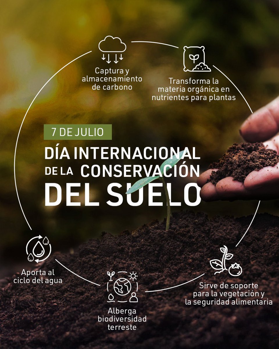 Esta conmemoración es un recordatorio de que el suelo no es solo tierra, sino un ecosistema vivo y complejo. ​

#SurFuturo #ConservaciónDelSuelo