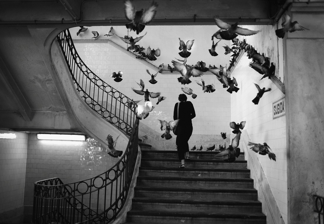 There is no algorithm for creativity.

Rui Palha, Lisbon