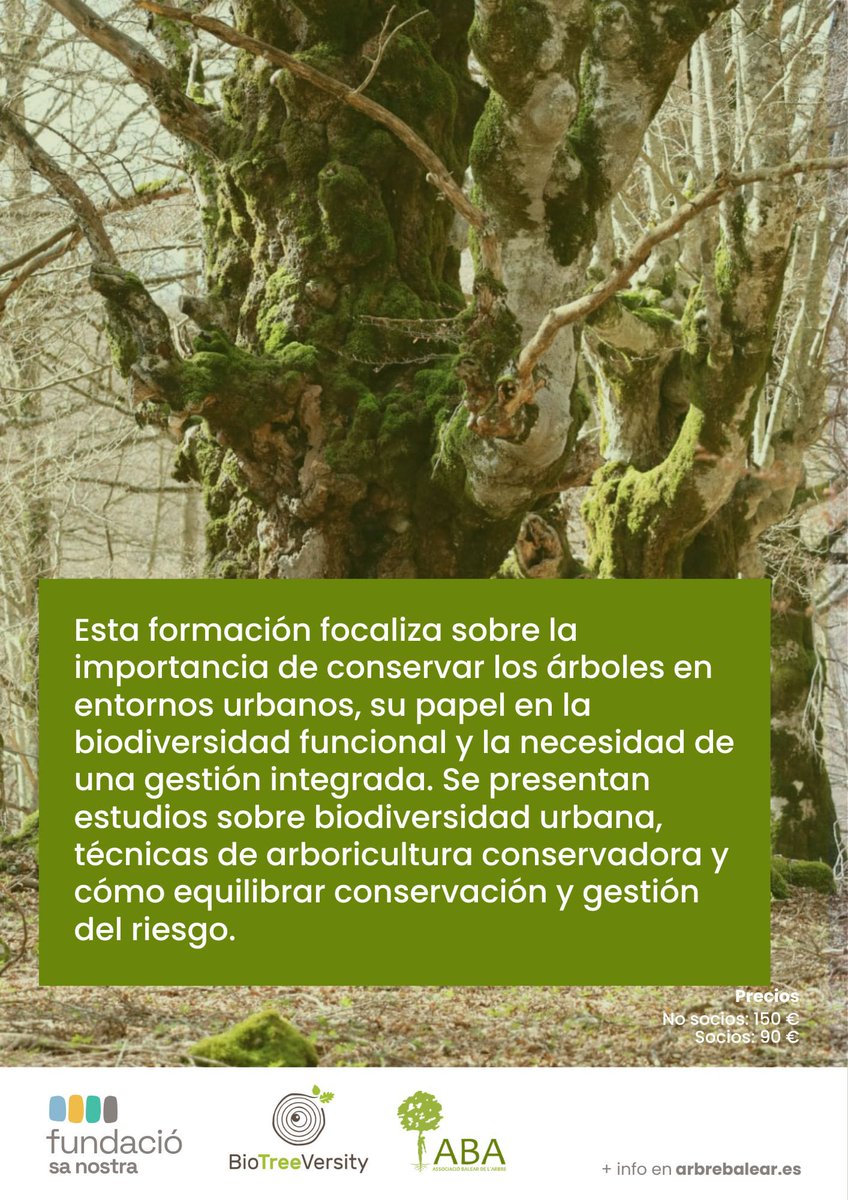 ARBREBALEAR's tweet image. Jornades #BIOTREEVERSITY: Gestió Avançada de l'Arbrat Urbà 🌳
📣 Tècnics d'#arboricultura i ajuntaments
👉 25 i 26 de setembre 2025
Gestió integrada, #biodiversitat funcional i conservació.
Una oportunitat per actualitzar coneixements i aplicar solucions innovadores en la…
