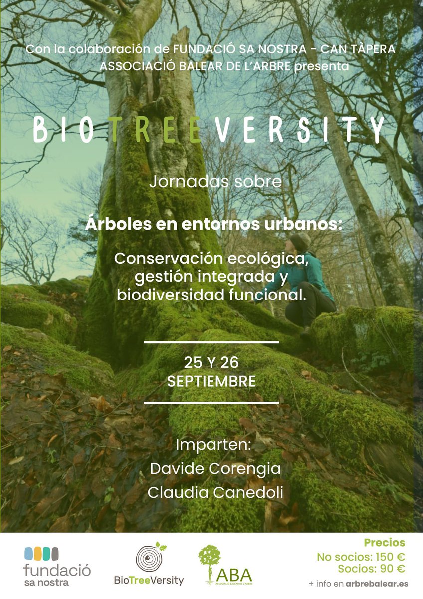 ARBREBALEAR's tweet image. Jornades #BIOTREEVERSITY: Gestió Avançada de l'Arbrat Urbà 🌳
📣 Tècnics d'#arboricultura i ajuntaments
👉 25 i 26 de setembre 2025
Gestió integrada, #biodiversitat funcional i conservació.
Una oportunitat per actualitzar coneixements i aplicar solucions innovadores en la…