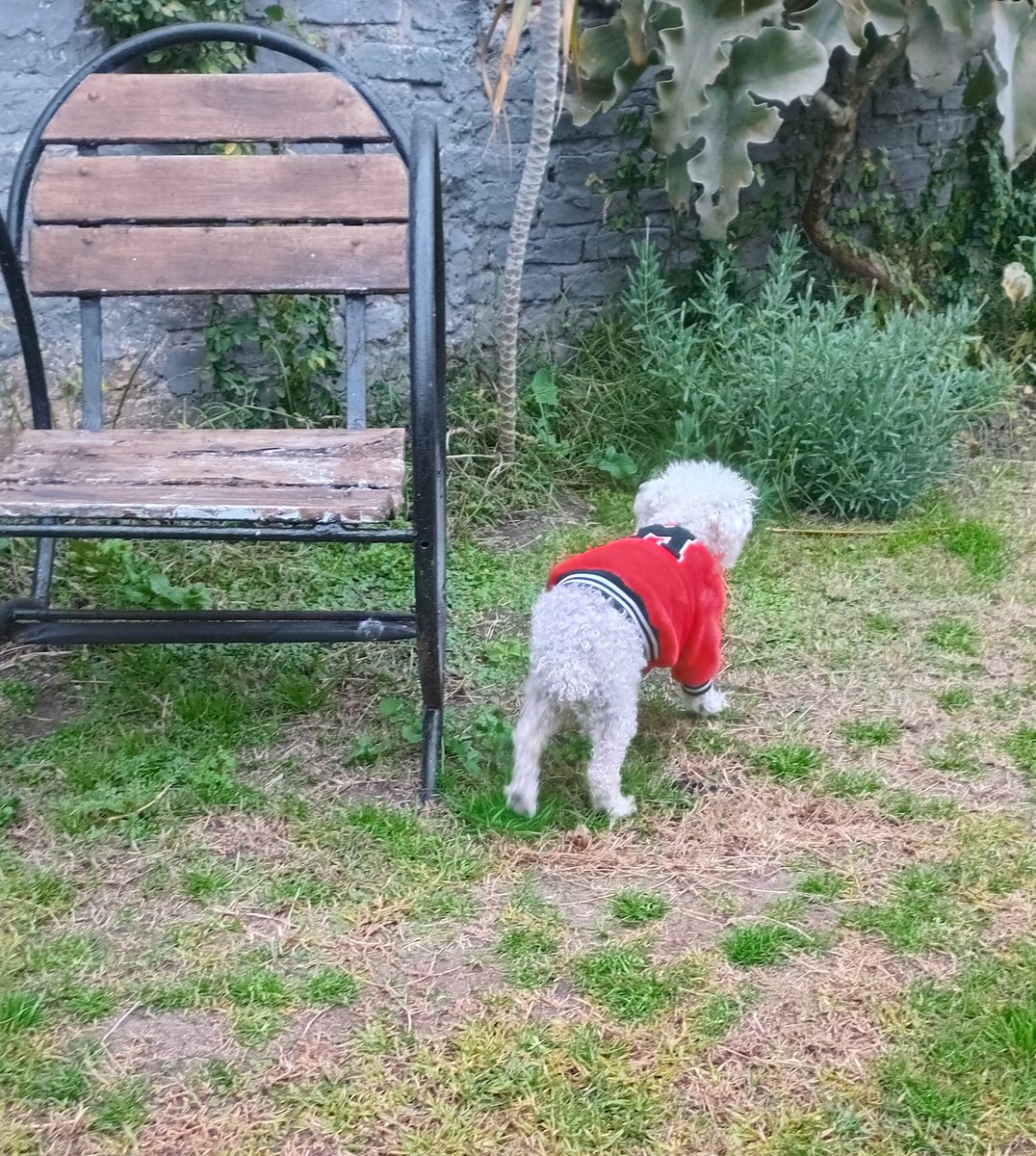 Antes q llueva salimos .
#BuenLunes para todos!!!