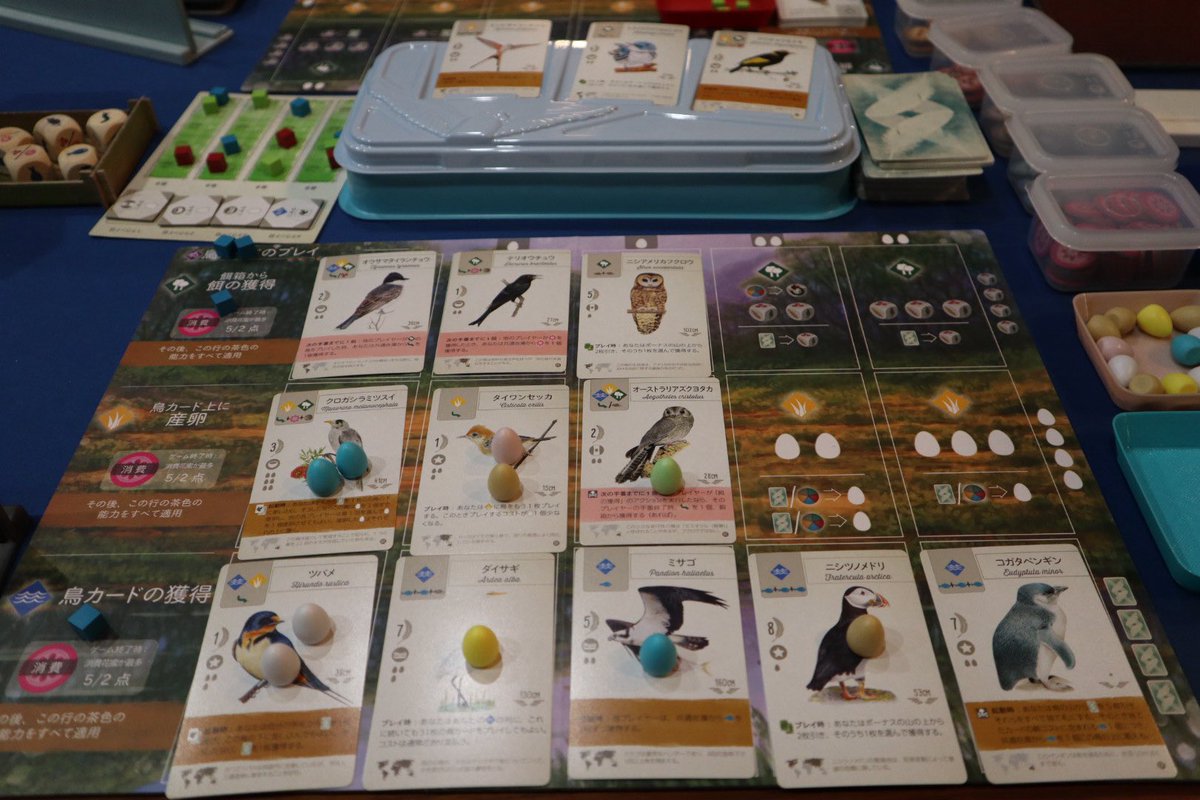 aya_boardgames's tweet photo. ウイングスパン🦆✨
このゲームもめっちゃ好き💕

全体目標もまぁまぁOK!
個人目標も2枚達成!
点数高めの鳥をプレイして、卵を産んで…うまくいってるかなーと思ってたけど、

うまくコンボさせて、カードを下に入れたりしてる人強い!

🥇夫　🥈私　🥉Ｋ氏　4位T氏

#ボードゲーム　#ウイングスパン https://t.co/awAgl8X3Pw