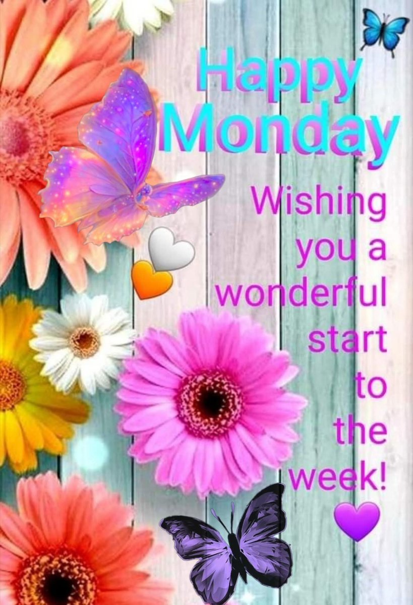 Purple _Luna74 tweet media