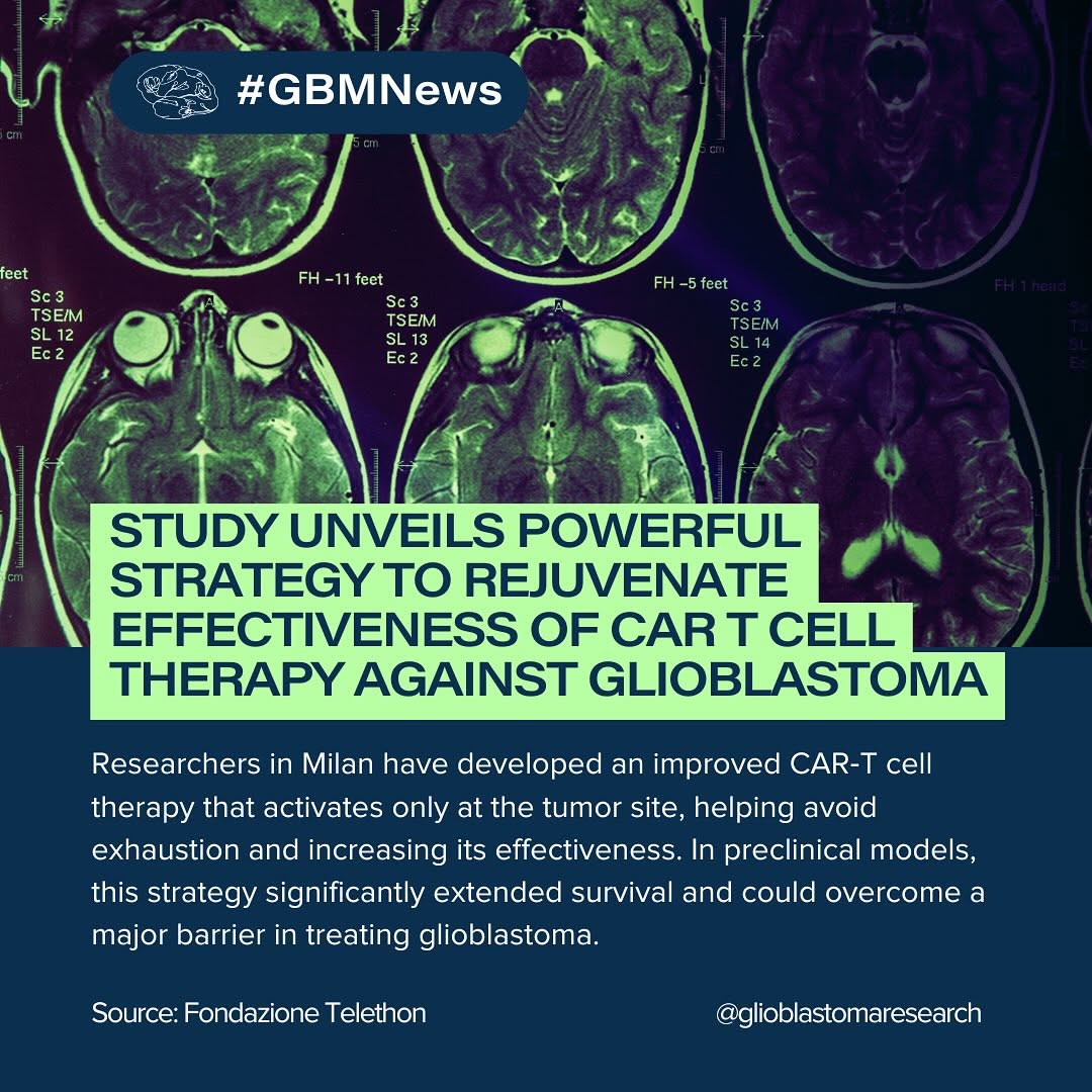 glioblastomaorg's tweet image. #GBMNews ⚠️ | Scientists at SR-TIGET in Milan have engineered a next-generation CAR-T cell therapy designed to work smarter against glioblastoma.
#Glioblastoma