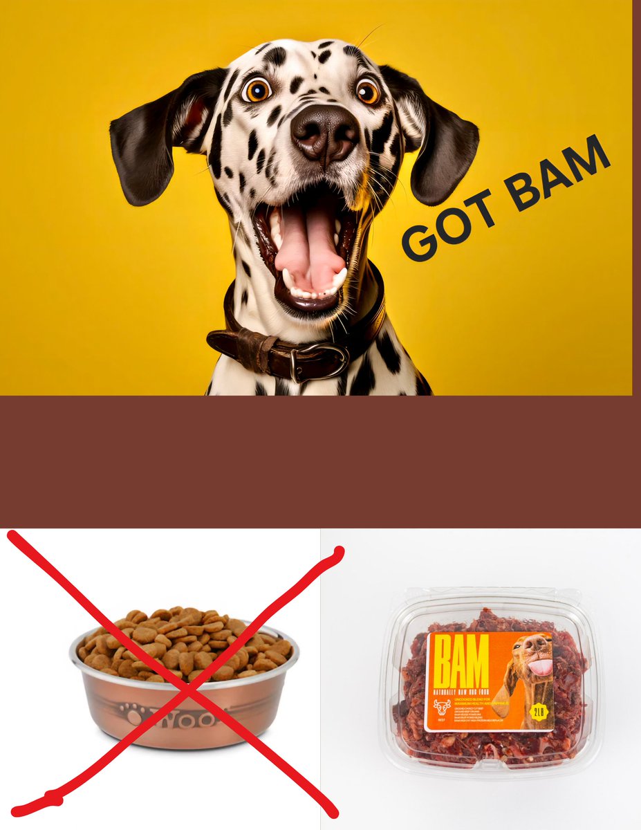 🥩 Tired of feeding your dog processed kibble?
Give them what nature intended: raw, real food. Gotbam.com 
#GotBAM #RawFeedingRevolution #NATURALDOG #NATURALDOGFOOD #HAPPYDOG #healthypets #bamrawdiet