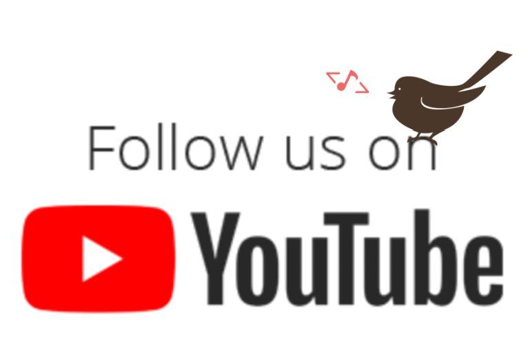 AndiSites Inc. tweet media