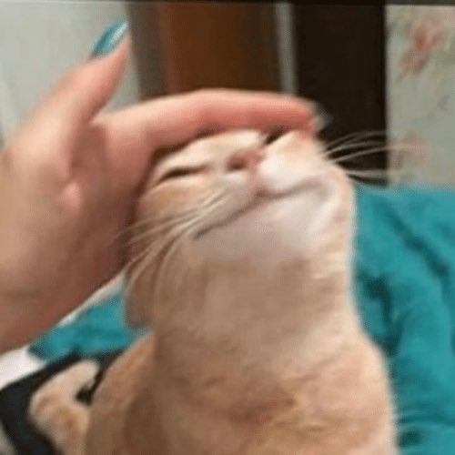 When the DPS office lady praises me for filling my drivers license renewal form out correctly on the first try