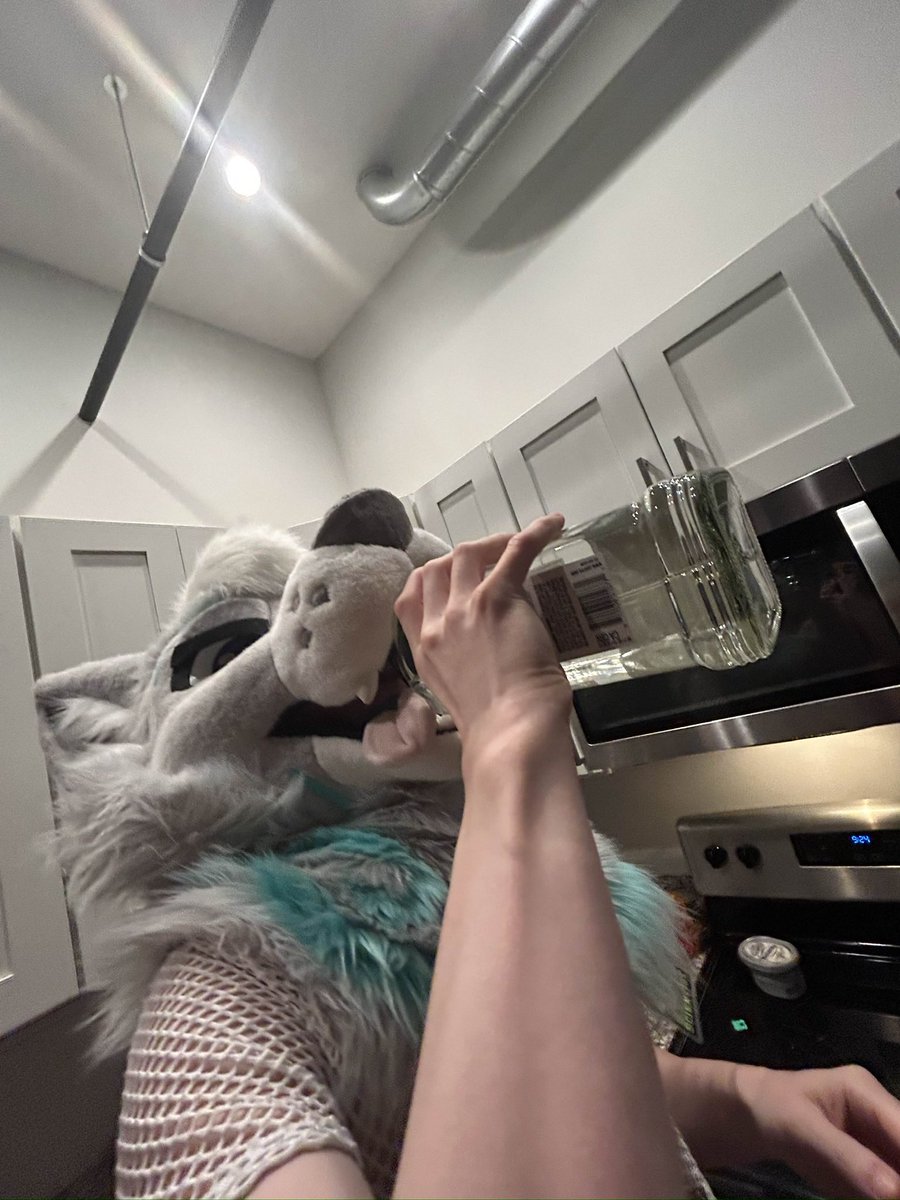 D1SC00RD's tweet image. Goodbye #anthrocon25 you will be missed. Until next time 🥳