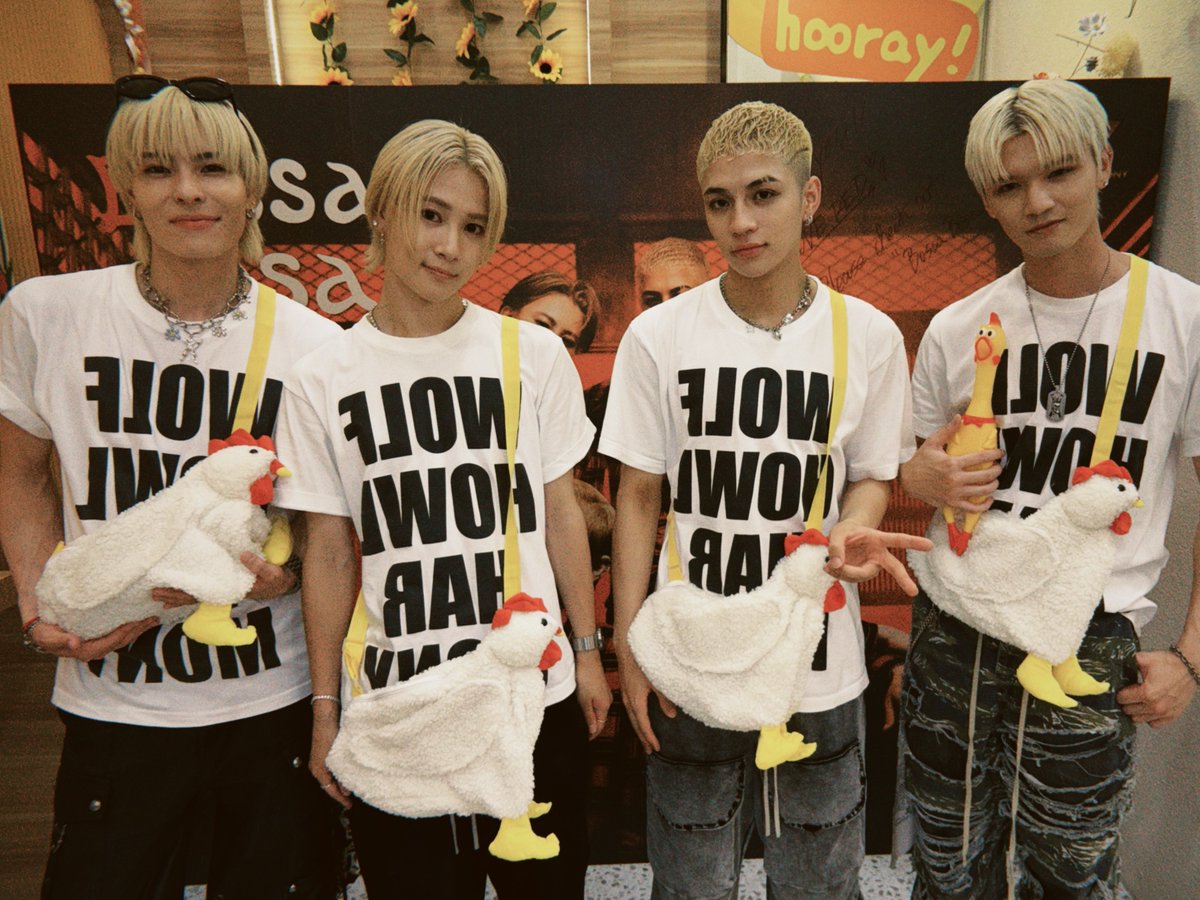 WOLF HOWL HARMONY Bossa Bosa ボサボサ コンプセット WOLF HOWL