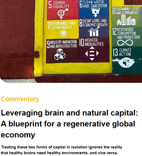 Delighted to contribute with great colleagues to the Think 20 South Africa, a think tank that provides policy recommendations for the G20 South Africa 2025. In brief: we need to combine nature and brain capital to bring healthy brains and healthy environments.
