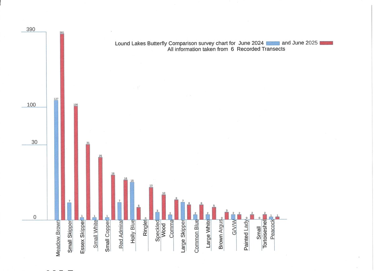 Robert Quadling🦋 (@eastengland2014) on Twitter photo 7/7/25 SWT Lound Lakes Butterfly Comparison Chart for June 2024 /2025 <a href="/SWT_NE_Reserves/">Suffolk Wildlife Trust North East Reserves</a> <a href="/ESWH2O/">Essex & Suffolk Water</a> <a href="/suffolkwildlife/">SuffolkWildlifeTrust</a> <a href="/BC_Norfolk/">BC Norfolk</a> <a href="/BC_Suffolk/">BC Suffolk Branch</a> 7/7/25 SWT Lound Lakes Butterfly Comparison Chart for June 2024 /2025 <a href="/SWT_NE_Reserves/">Suffolk Wildlife Trust North East Reserves</a> <a href="/ESWH2O/">Essex & Suffolk Water</a> <a href="/suffolkwildlife/">SuffolkWildlifeTrust</a> <a href="/BC_Norfolk/">BC Norfolk</a> <a href="/BC_Suffolk/">BC Suffolk Branch</a>