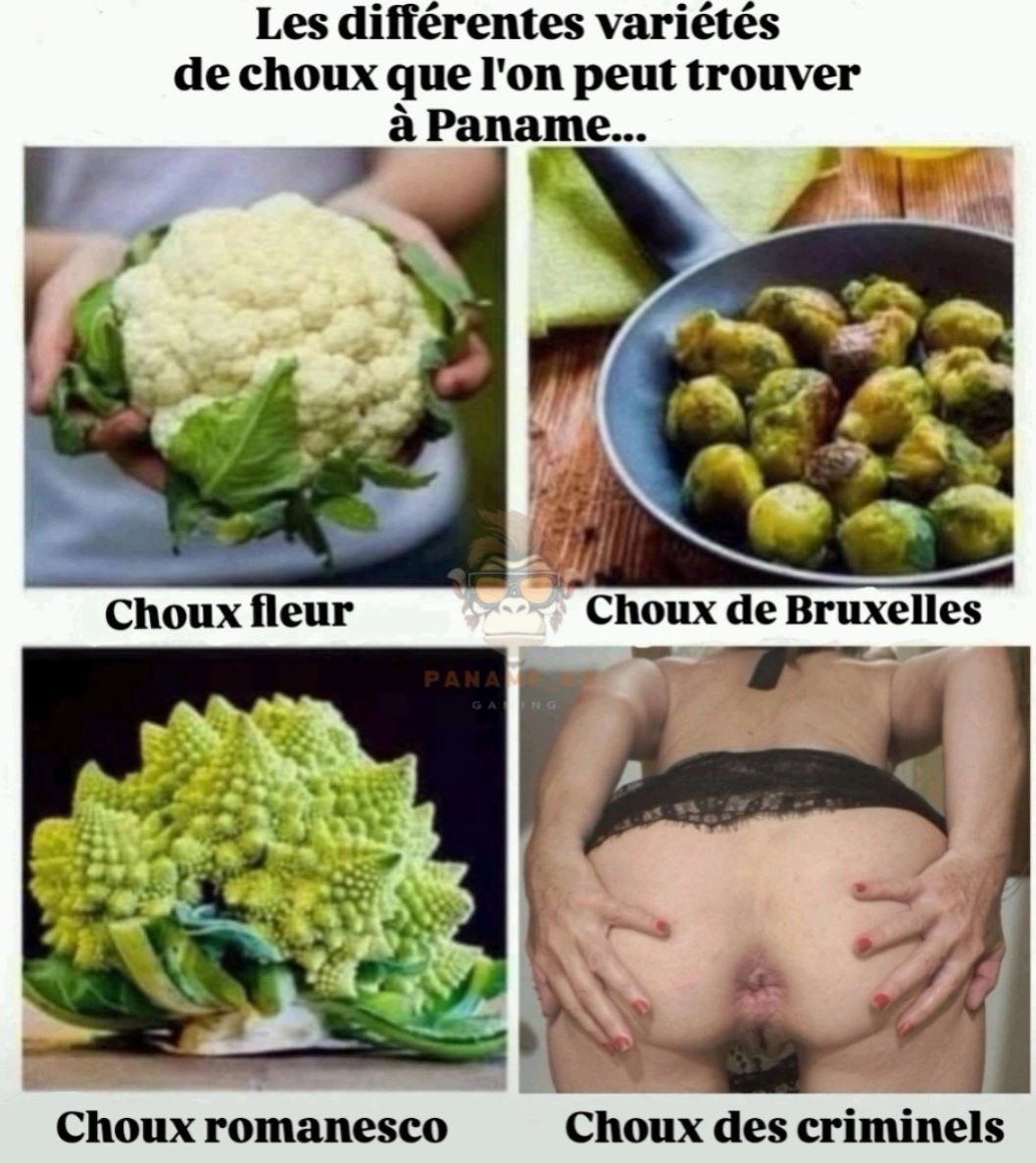 Paname_P (@paname_pimp) on Twitter photo <a href="/princesse__soso/">Princesse soso Fbi ♠️</a> est tellement chouchouter qu'elle a fini en choux des criminels 🤣😁
mym.fans/Princesse_sosso
Rt si tu veux participer aux Gang Bang pour baiser 🍑 de ma Soumise
<a href="/royaumedufion/">🔞 LesReinesDuFion 🔞</a> <a href="/OrgasmicGroup/">Virtual Orgasmic Group 100k 🔞</a> <a href="/VirtuAss/">VirtuaOFF 🍑✨</a> <a href="/hotmodelsOMG/">HotModelsOMG</a> <a href="/FrancaisesSexy/">Sexy Francaises</a> <a href="/PartageDefiHot/">PartageDéfiHot</a> <a href="/AmatriceFr/">Amatrices FR</a> <a href="/princesse__soso/">Princesse soso Fbi ♠️</a> est tellement chouchouter qu'elle a fini en choux des criminels 🤣😁
mym.fans/Princesse_sosso
Rt si tu veux participer aux Gang Bang pour baiser 🍑 de ma Soumise
<a href="/royaumedufion/">🔞 LesReinesDuFion 🔞</a> <a href="/OrgasmicGroup/">Virtual Orgasmic Group 100k 🔞</a> <a href="/VirtuAss/">VirtuaOFF 🍑✨</a> <a href="/hotmodelsOMG/">HotModelsOMG</a> <a href="/FrancaisesSexy/">Sexy Francaises</a> <a href="/PartageDefiHot/">PartageDéfiHot</a> <a href="/AmatriceFr/">Amatrices FR</a>
