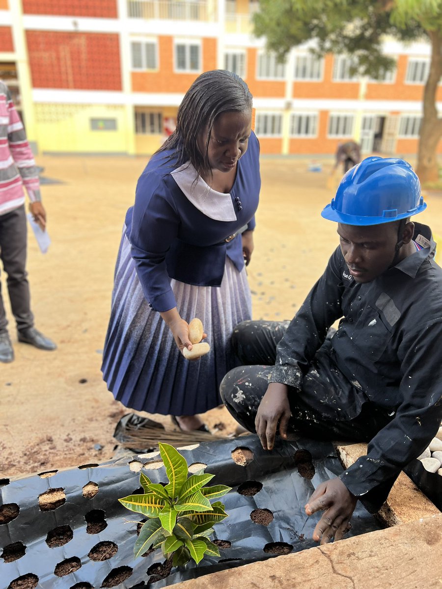 Skisska30's tweet image. Education week in progress.First day activities; planting trees, flowers and beautification of environment.
📸
#EducationWeek